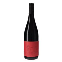 Saumur-Champigny &laquo; Fruit &raquo; &ndash; Thierry Germain - 2024