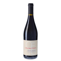 Saumur-Champigny &ndash; Thierry Germain - 2025