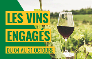module-foire-de-printemps-op10_fr.png