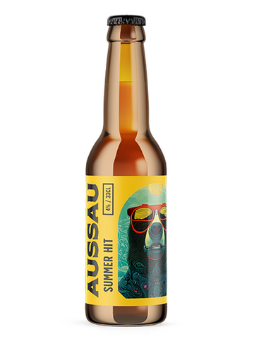 AUSSAU SUMMER HIT SESSION
