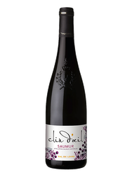 Saumur Clin d'Oeil 2018