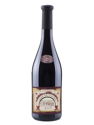 CHINON CLOS DE L'ECHO   2016