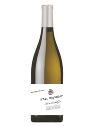 P'TI BERTHIER SAUVIGNON   2020